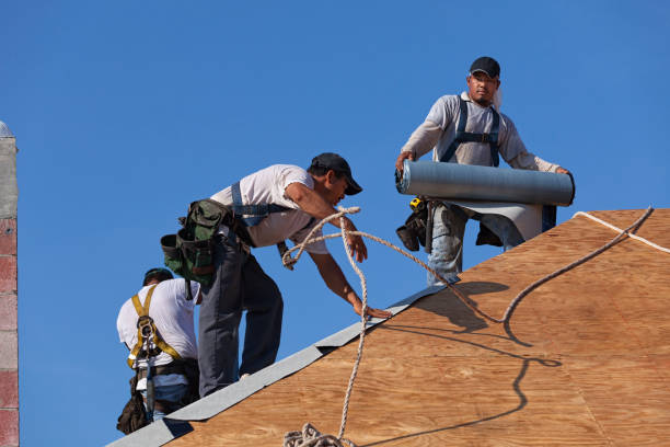Best Commercial Roof Installation  in Rtez, CO